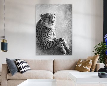 Tierwelt - Gepard von JayJay Artworks