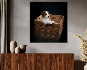 Jack Russel puppy by Marjolein van Middelkoop