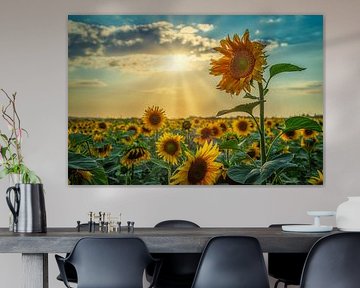 Les enfants du soleil sur Vladyslav Durniev