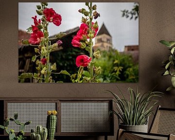 Village français avec église et fleurs rouges