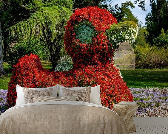 Aperçu de la chambre