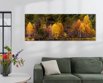 Autumncolours at a lake in Norway by Johan Zwarthoed