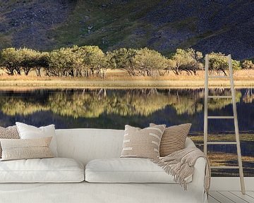 Reflectie in meer, Loch Achtriochtan , Glencoe, Schotland van Johan Zwarthoed