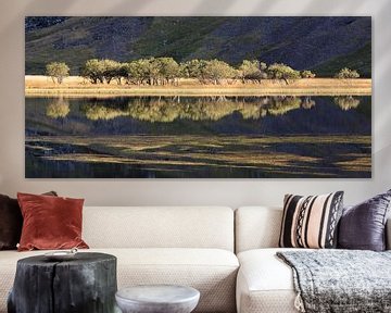 Spiegelung im See, Loch Achtriochtan, Glencoe, Schottland von Johan Zwarthoed