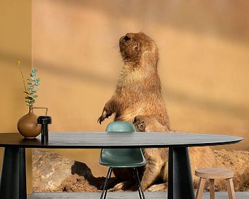 Nieuwsgierige prairiehondjes van Kenji Elzerman