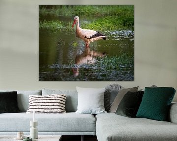 The Stork by Jens Sessler