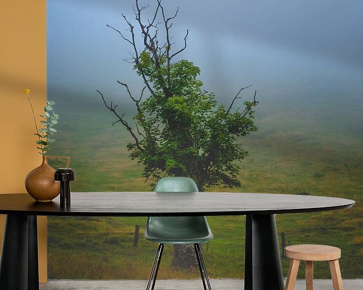 Beispiel fototapete: Der Baum im Nebel von Jens Sessler