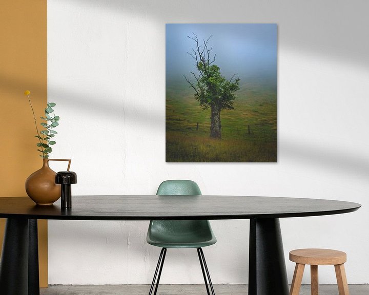 Beispiel: Der Baum im Nebel von Jens Sessler