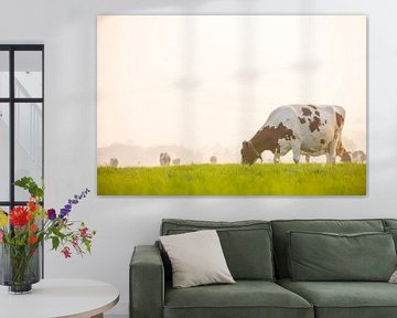 Koeien in een weiland tijdens een mistige zonsopgang van Sjoerd van der Wal