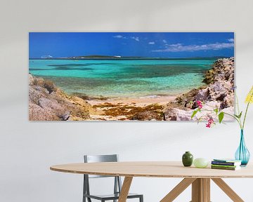 Coco-Cay privé strand, Bahamas van Yevgen Belich