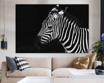 Zebra van Walljar
