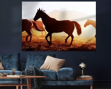Horses by Walljar