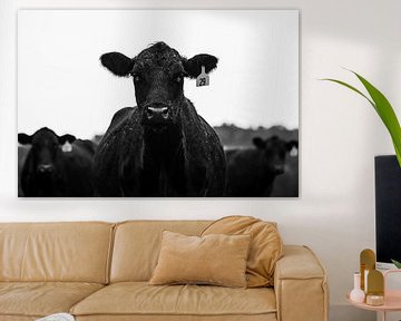 Cow by Walljar