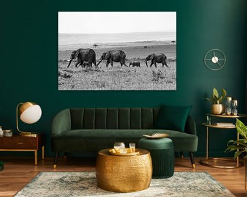 Herd of Elephants by Walljar
