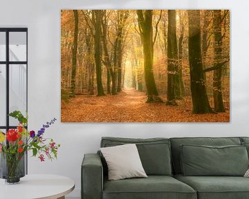 Pad door een goudkleurig bos in de herfst van Sjoerd van der Wal