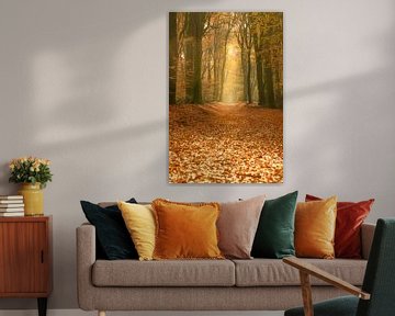 Pad door een goudkleurig bos tijdens de herfst van Sjoerd van der Wal Fotografie