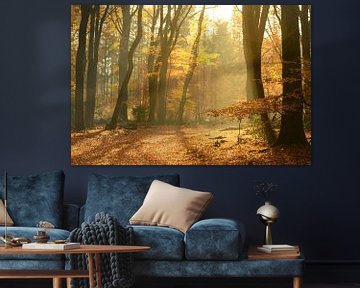 Chemin à travers une forêt dorée à l'automne sur Sjoerd van der Wal Photographie