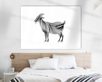 Illustration au trait fin - chèvre d'affiche - noir et blanc - Vlieland sur Studio Tosca