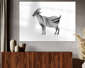 Fine line illustratie - poster geit - goat - zwart wit - Vlieland van Studio Tosca