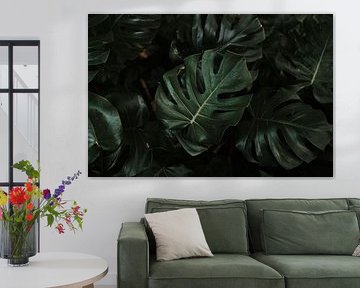 Green Monstera