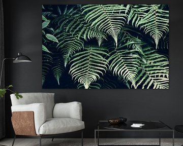 Fern Leaves