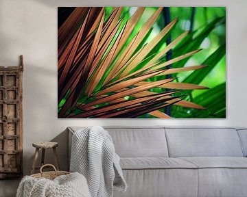 Palm Leaf
