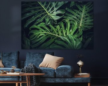 Valencia Plants
