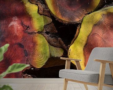 Mammoetboom Plaats van Macht van Ingo Laue