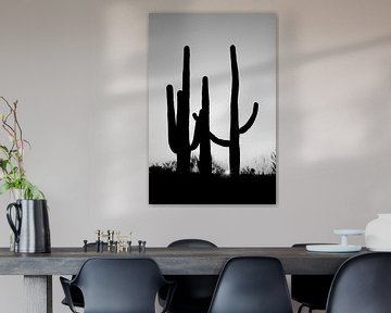 Saguara Cactus