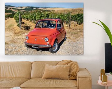 Fiat 500 in vineyard (1) by Jolanda van Eek en Ron de Jong