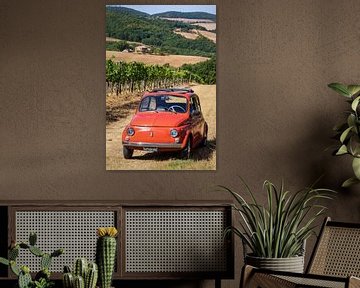 Fiat 500 in vineyard (5) by Jolanda van Eek en Ron de Jong