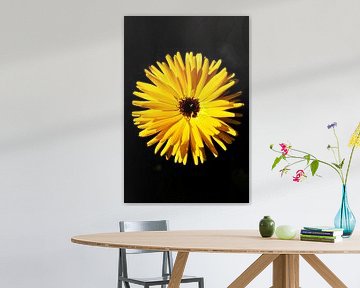 Gele bloem