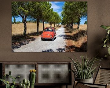 Fiat 500 in tree avenue (1) by Jolanda van Eek en Ron de Jong