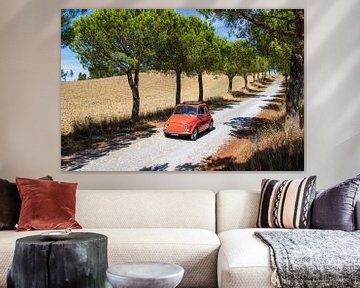 Fiat 500 in bomenlaan (3) van Jolanda van Eek en Ron de Jong