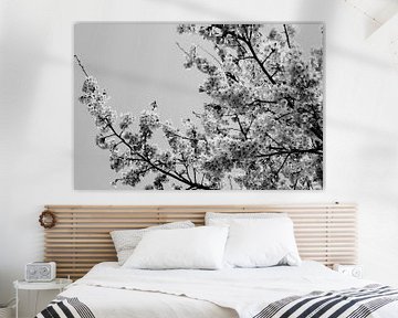 Schwarze und weiße Kirschblüte von Walljar