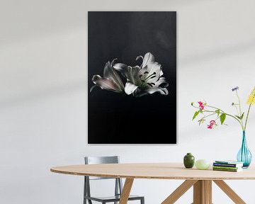Zwart wit bloem