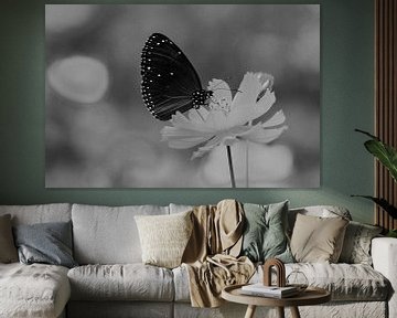 Schmetterling auf einer Blume von Walljar