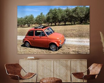 Fiat 500 in olijfgaard (1)