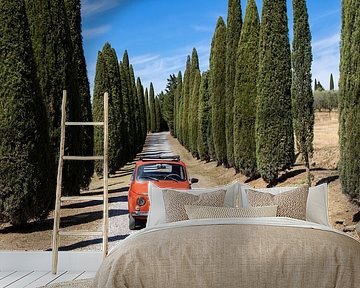 Fiat in cypress avenue (4) by Jolanda van Eek en Ron de Jong