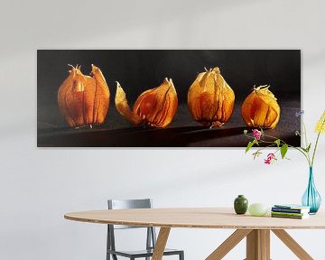 Physalis Panorama van Ingo Laue