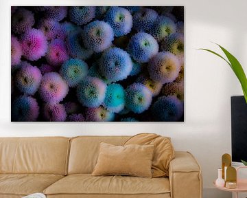 Dahlia abstract