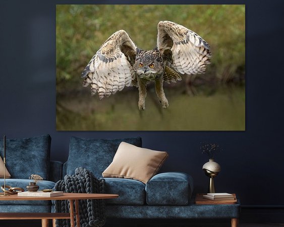 Aperçu de la chambre