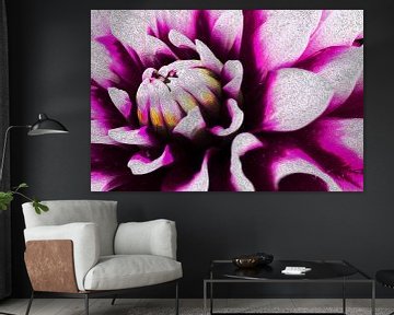 Dahlia in een apart kleuren jasje van Jolanda de Jong-Jansen