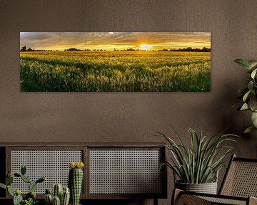 Duitsland, XXL panorama van landelijke tarwevelden in warm zonsonderganglicht van Simon Dux