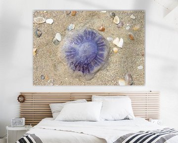 Jellyfish by Marco Leeggangers