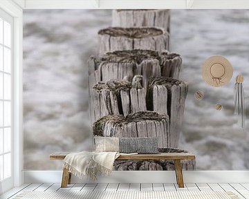 Breakwaters in the sea ( Cadzand, zeeland) by Marjolijn van den Berg