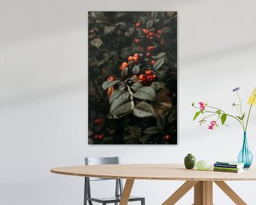 Autumn in the forest by Tessa Dommerholt