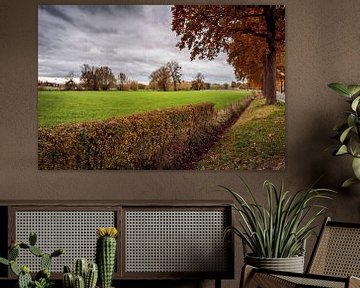 L'automne dans la vallée de la Geul sur Rob Boon