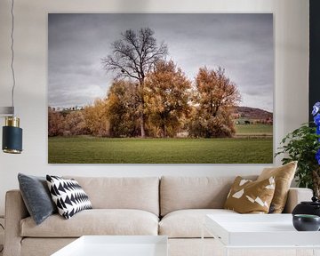 L'automne dans la vallée de la Geul sur Rob Boon