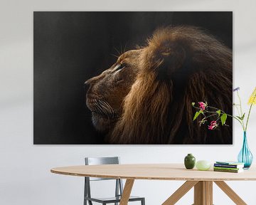 Leeuw portret, lion portrait van Jeffrey Hensen